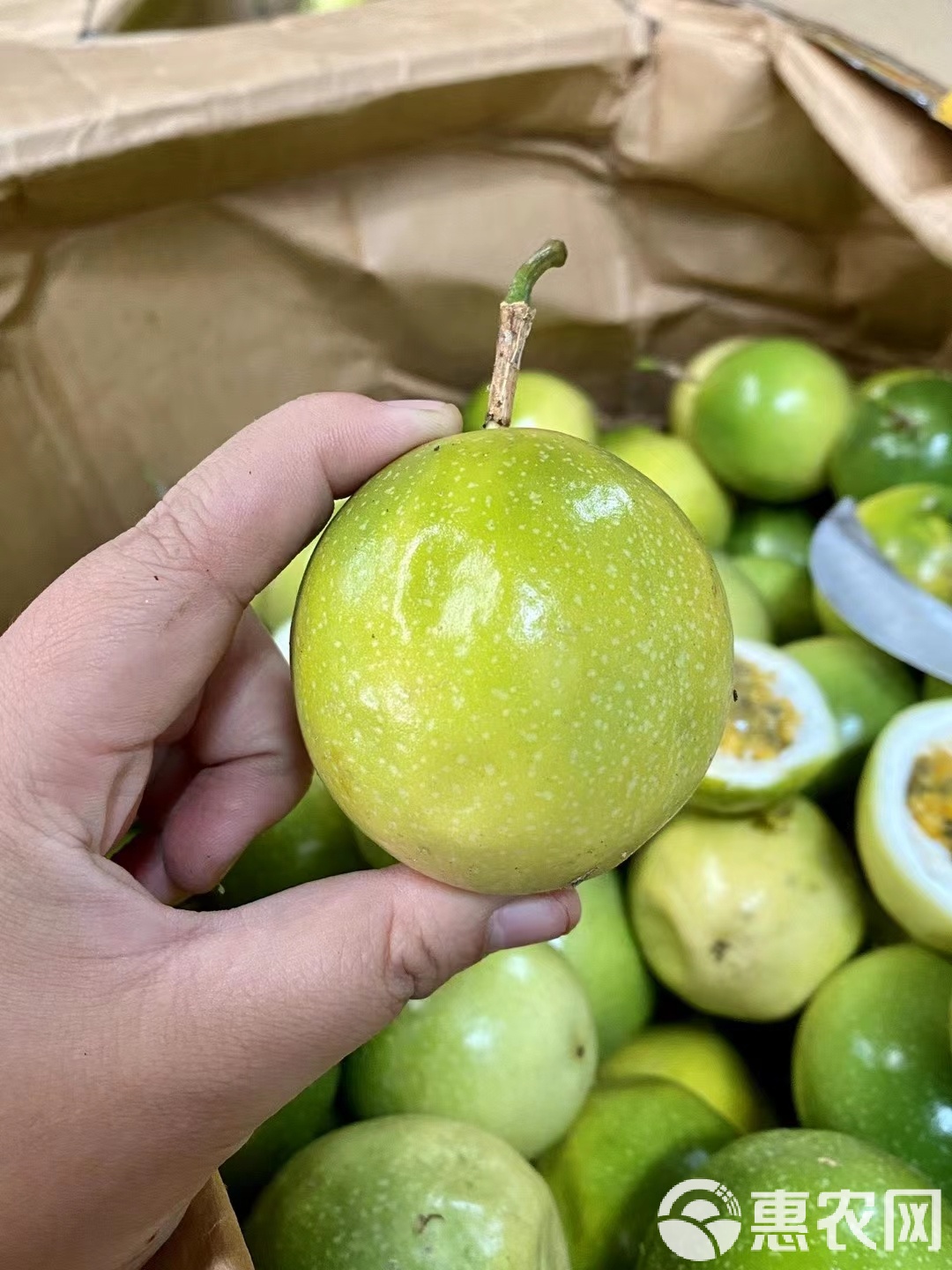 黄金百香果 从果园到舌尖的纯甜体验